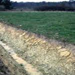 Les sols ne se limitent pas aux horizons humifères de surface. Ils comprennent aussi des horizons dits profonds qui remplissent des fonctions essentielles, en particulier pour le développement de la végétation. Parfois absents dans les sols très minces, les horizons profonds sont les couches de sol situées entre la couche supérieure plus ou moins riche en matières organiques et la roche sous-jacente non altérée. Sous nos climats, ils débutent à une profondeur de 5 cm (certaines formes d’humus forestières) à 30-35 cm (sols profondément labourés) pour une épaisseur allant de 10 à 180 cm (parfois encore plus).